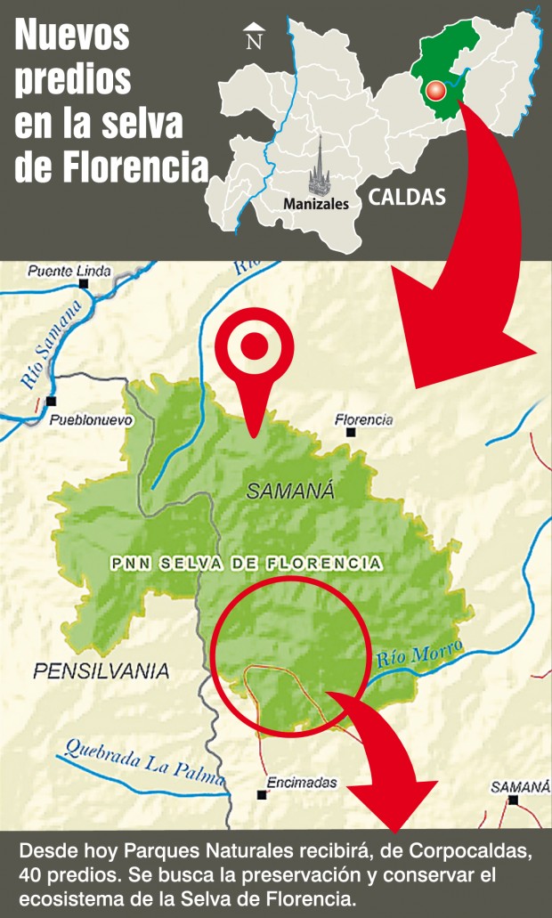 EL PARQUE DE FLORENCIA SUMA HECT�REAS PROPIAS
