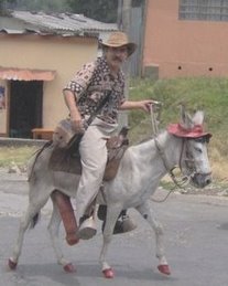 Fiestas de los Palenques 2013 con un burro disfrazado