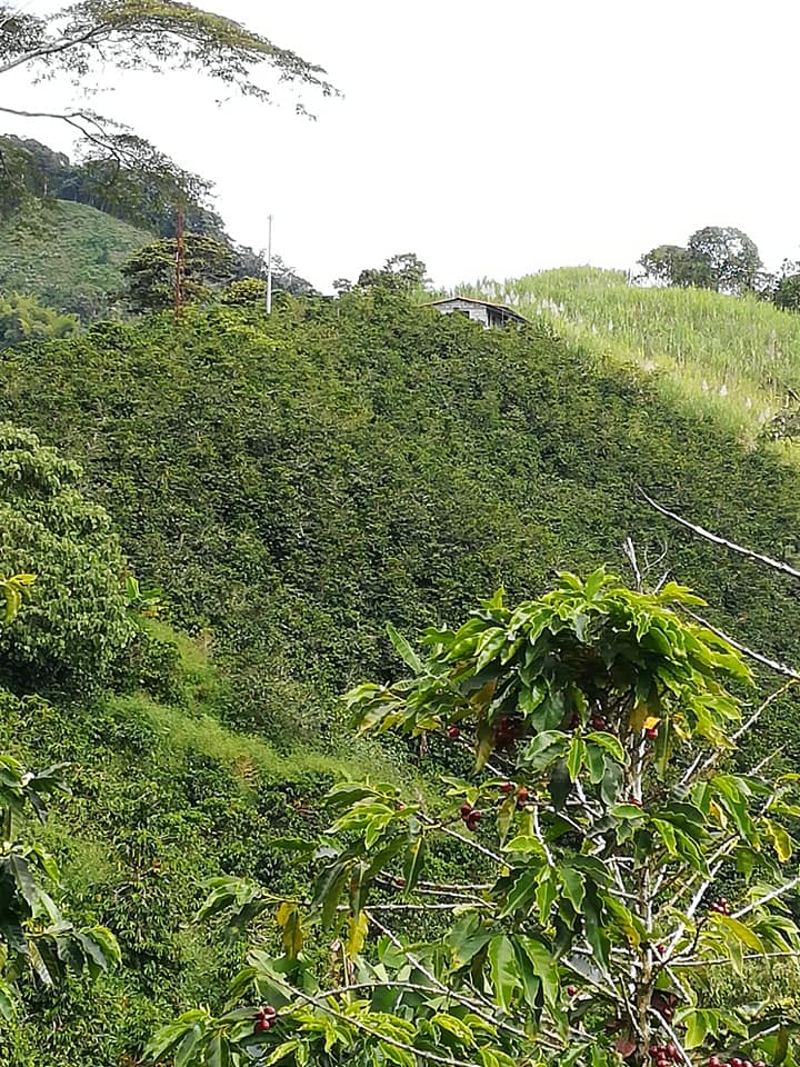 Finca con vivienda