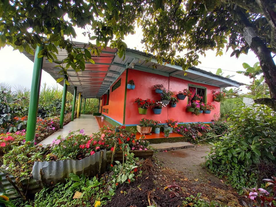 SE VENDE FINCA CORREGIMIENTO DE ENCIMADAS