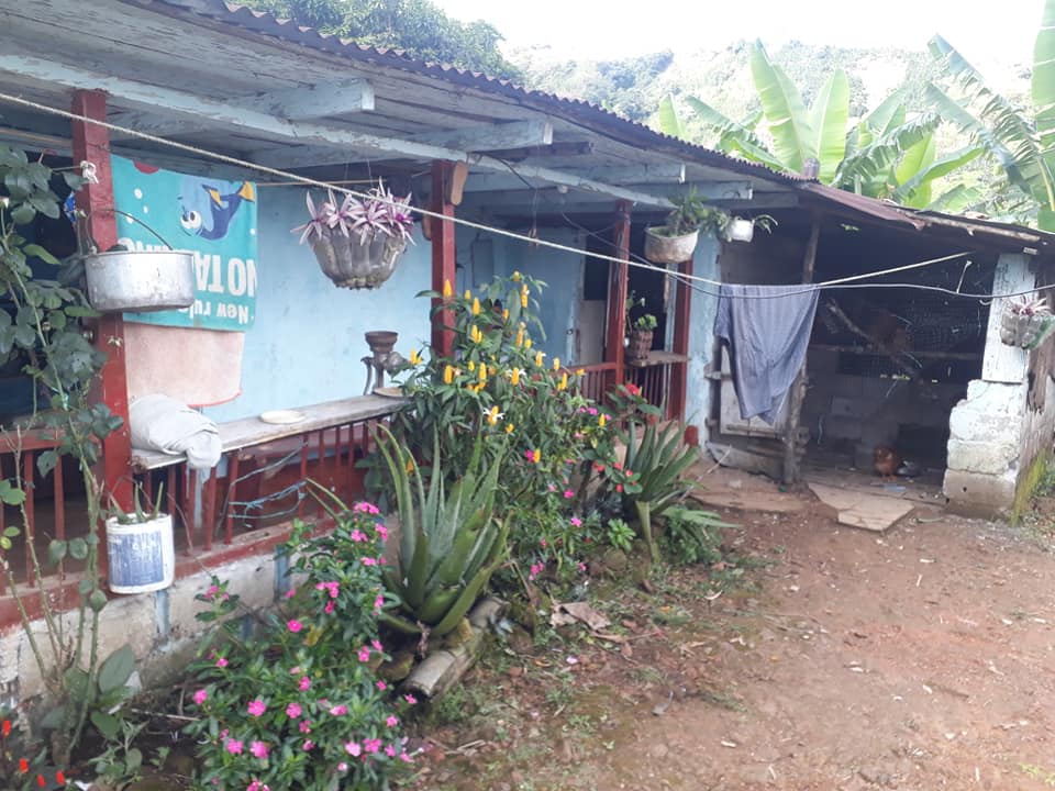 SE VENDE O SE PERMUTA FINCA VEREDA LA SOMBRA