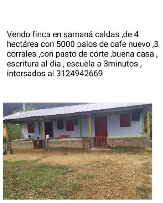 SE VENDE FINCA SAMAN� CALDAS