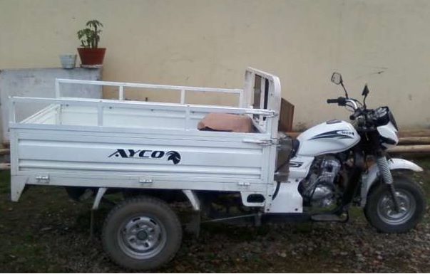 MOTOCARGUERO