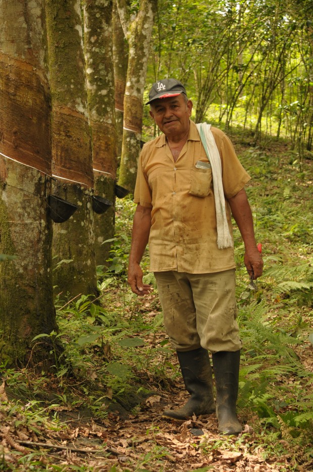 Se estira la producci�n de caucho
