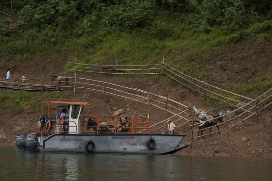EN LAS MONTA�AS DEL RIO DULCE