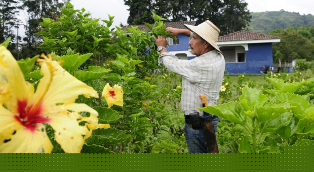 CONTRALOR�A ADVIERTE POR 19 ELEFANTES BLANCOS EN CALDAS 