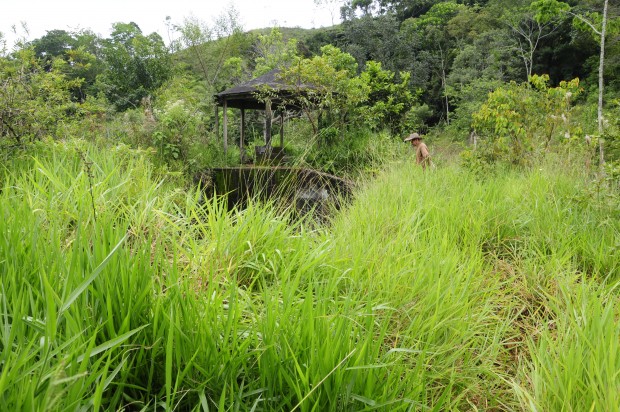 SECOS Y DESPLAZADOS POR FALTA DE AGUA EN BERL�N (SAMAN�)