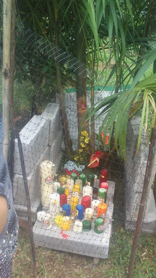 DICEN QUE SE APARECIO LA VIRGEN VEREDA LA FLORIDA