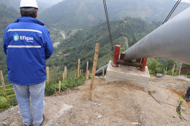 UTILIDADES DE EFIG�S ALCANZAN LOS $46 MIL 400 MILLONES Y PLANEA LLEGAR A SAMAN�