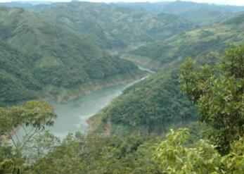 CALDAS Y MANIZALES �MALETEAN� ANTE EL BID