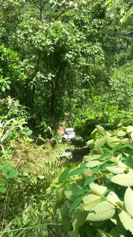 EN LA VEREDA COSTA RICA ALTA, SE ROD� AUTOM�VIL PARTICULAR