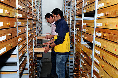 BIBLIOTECA DE ALAS
