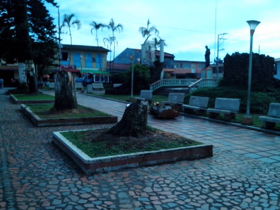SE CORTAN DOS �RBOLES DEL PARQUE DE SAMAN� PARA SALVAR VIDAS 