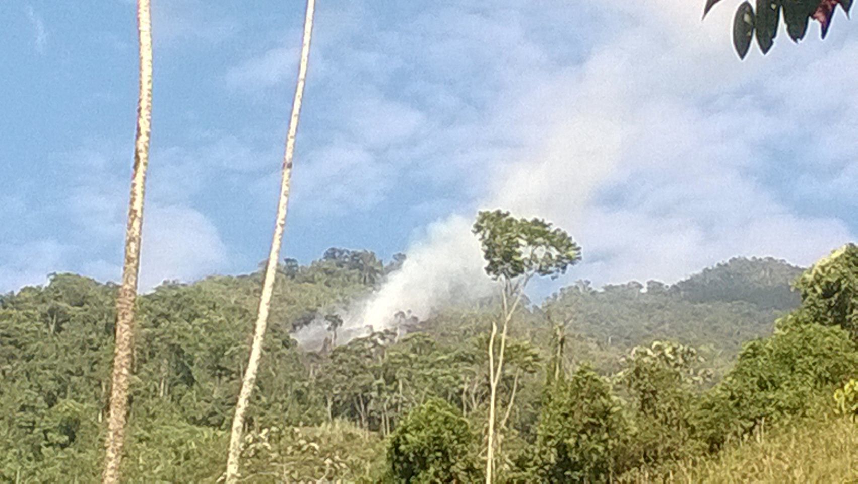 CUATRO D�AS DUR� INCENDIO EN EN EL PARQUE NACIONAL SELVA DE FLORENCIA EN CALDAS 