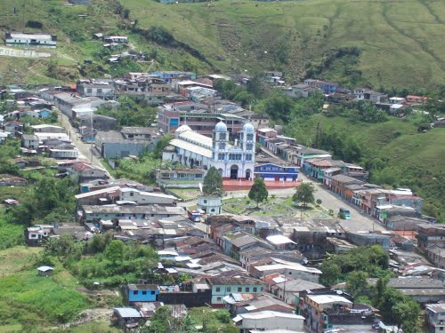 SELECCI�N DE SEMILLA Y CONSTRUCCI�N DEL GERMINADOR DE CAF� 