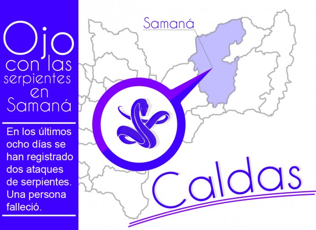 SERPIENTES MUERDEN DE NUEVO EN SAMAN�