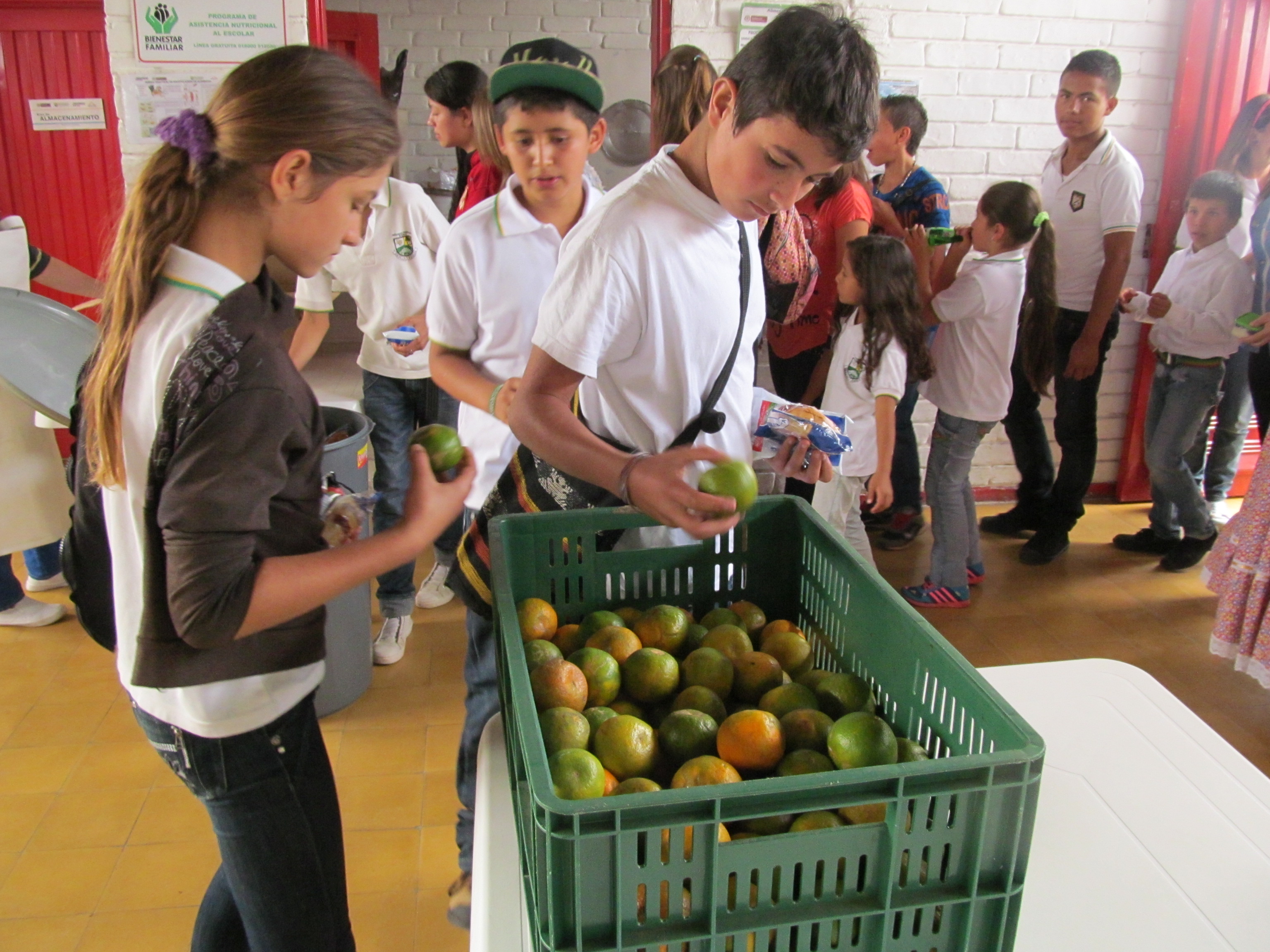 ALIMENTACI�N ESCOLAR, CONTRATO SIN DIGERIR EN CALDAS 