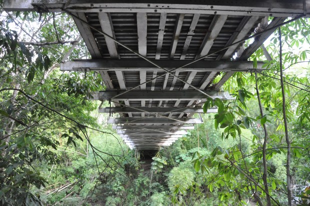 EL PUENTE DA�ADO, Y SE ROBAN LAS L�MINAS EN V�A LA DORADA-VICTORIA.
