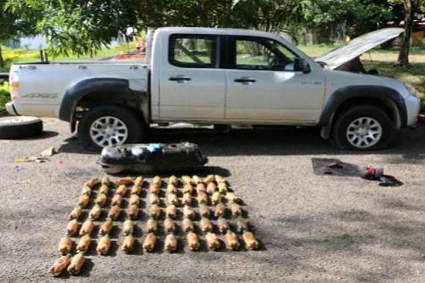 IMPORTANTE CARGAMENTO DE COCA CAY� EN MARIQUITA