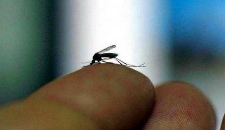 EN VICTORIA CALDAS SE CONFIRMA EL PRIMER CASO DE VIRUS DEL ZIKA EN UNA EMBARAZADA