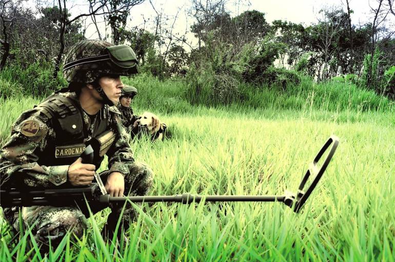 Proceso de desminado en Caldas va en un 52% seg�n la Octava Brigada