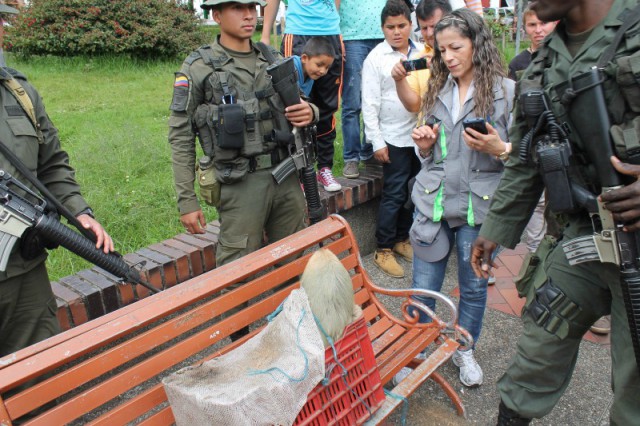 Polic�as se convirtieron en cuidadores de un oso perezoso en Saman�