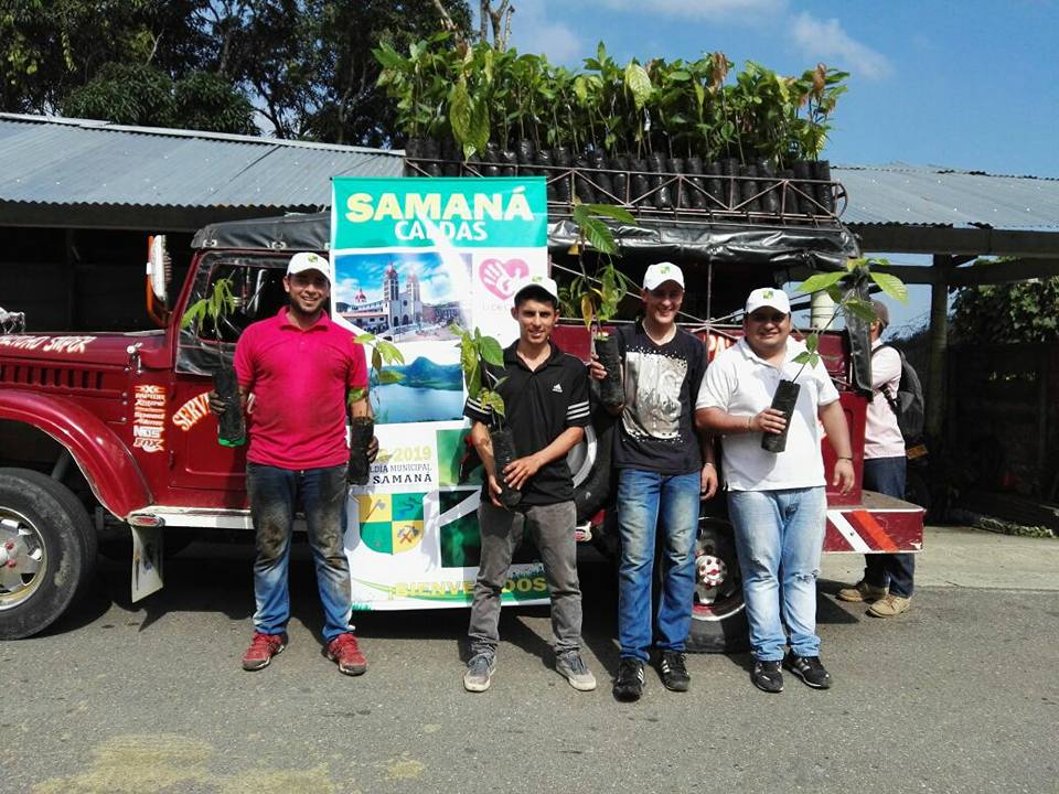 ENTREGA PL�NTULAS DE CACAO.