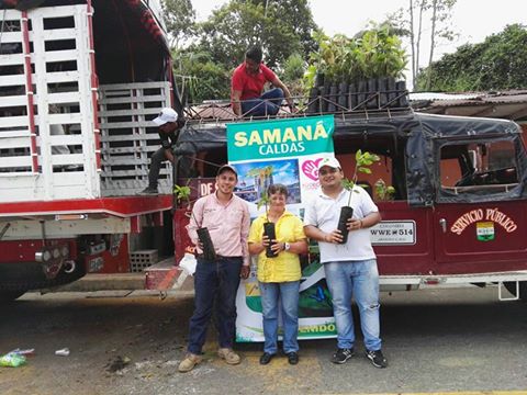 ENTREGA PL�NTULAS DE CACAO.