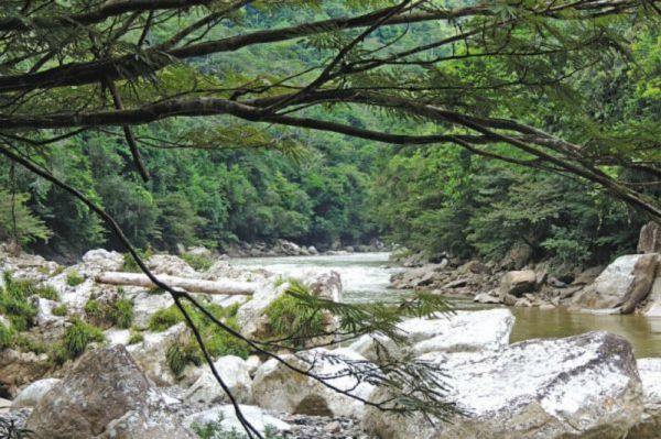 La bella durmiente del rio Saman�
