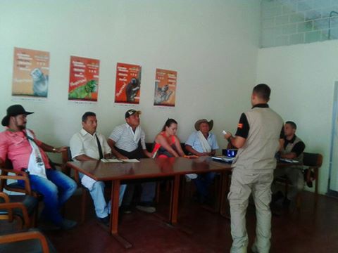 DESMINADO HUMANITARIO EN BERL�N.