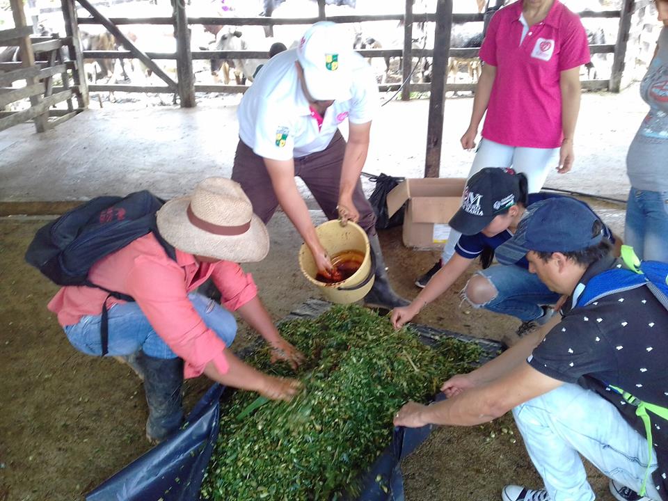 ESCUELA DE CAPACITACI�N AGROPECUARIA.