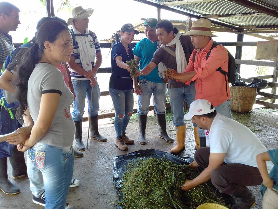 ESCUELA DE CAPACITACI�N AGROPECUARIA.