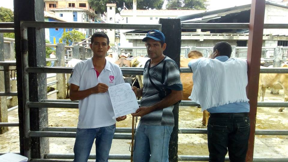 CONTIN�A EL APOYO A LOS GANADEROS.