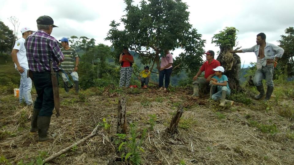 CAPACITACI�N PARA NUESTROS PRODUCTORES CORREGIMIENTO SAN DIEGO, VEREDA LA SONRISA