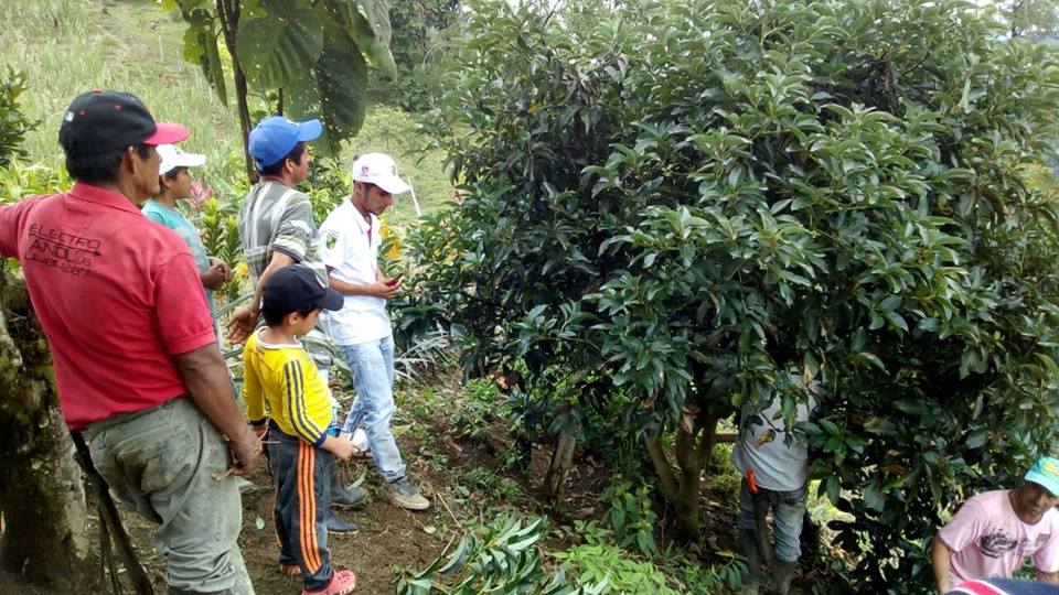 CAPACITACI�N PARA NUESTROS PRODUCTORES CORREGIMIENTO SAN DIEGO, VEREDA LA SONRISA