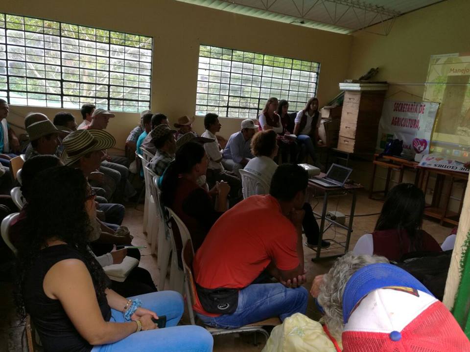 CAPACITACI�N EN PLATANO, VEREDA GUADUALEJO