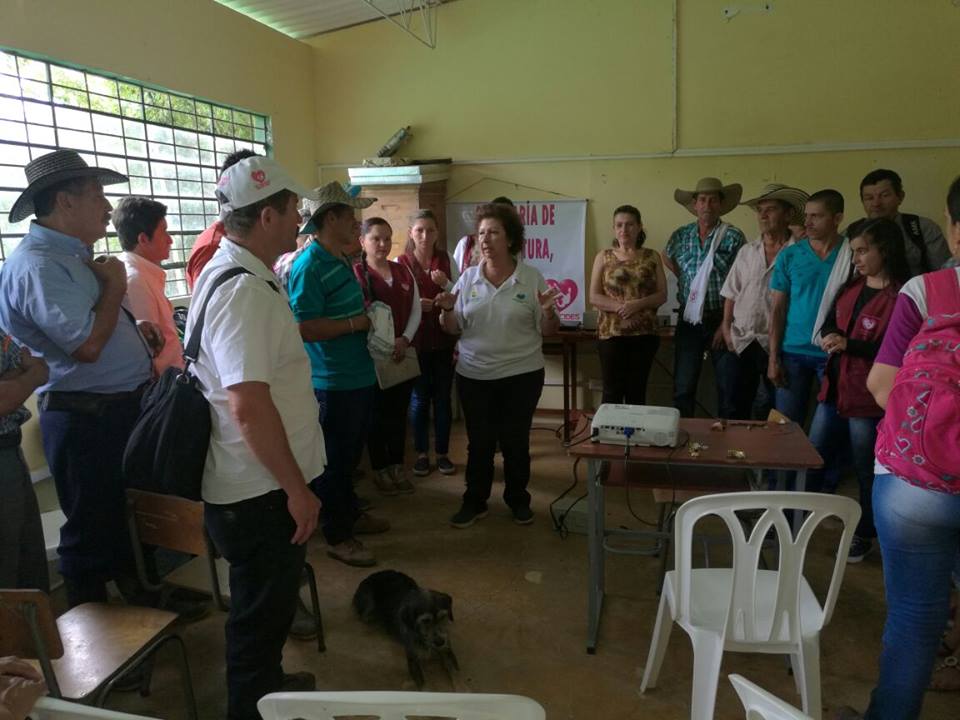 CAPACITACI�N EN PLATANO, VEREDA GUADUALEJO