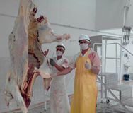 GESTI�N POR LA CENTRAL DE SACRIFICIO.