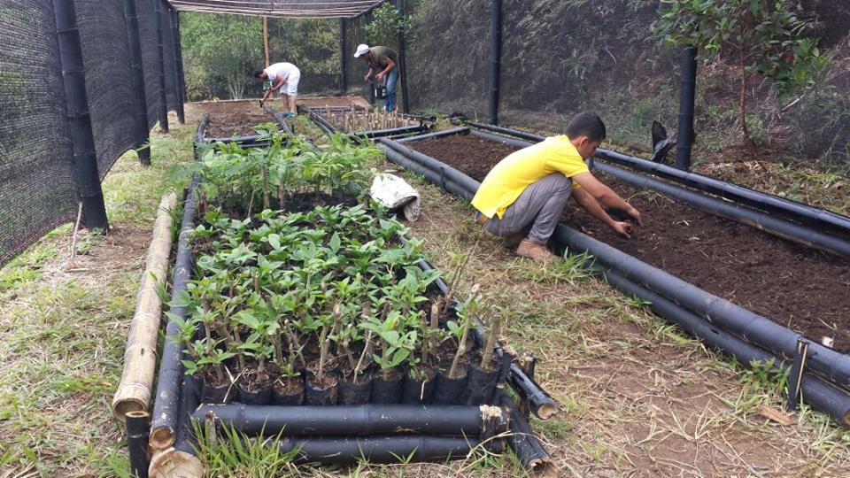 presentaci�n del vivero forestal de especies nativas