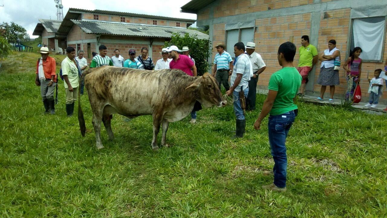 ESCUELA DE CAPACITACI�N AGROPECUARIA.