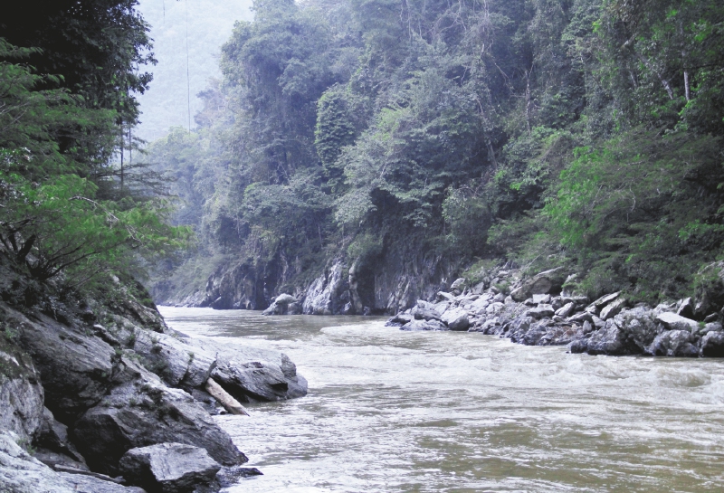 SAMAN�: EL R�O QUE LA GUERRA TEN�A ESCONDIDO