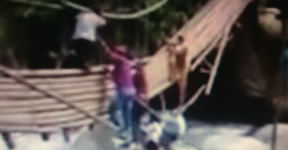 PUENTE COLAPS� EN PENSILVANIA, CALDAS 