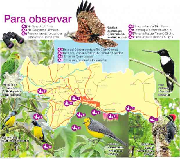 AVITURISMO VUELA FUERTE EN CALDAS 