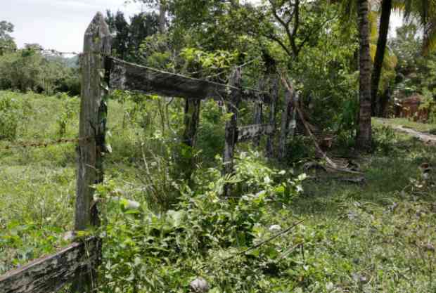 ACTUALICE LOS LINDEROS DE SU FINCA