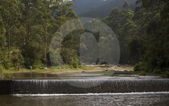 ORIENTE ANTIOQUE�O ESTRENA INSTRUMENTO PARA MANEJO DE CUENCAS 