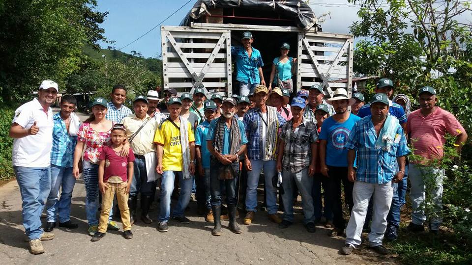 ENTREGA DE PL�NTULAS DE CACAO.
