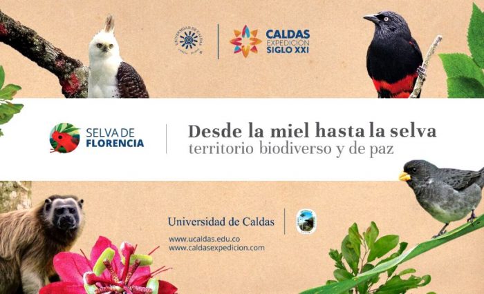CALDAS EXPEDICI�N SIGLO XXI DE LA U. DE CALDAS DEFINI� DETALLES DE LA PRIMERA RUTA EN LA SELVA DE FLORENCIA (SAMAN�)