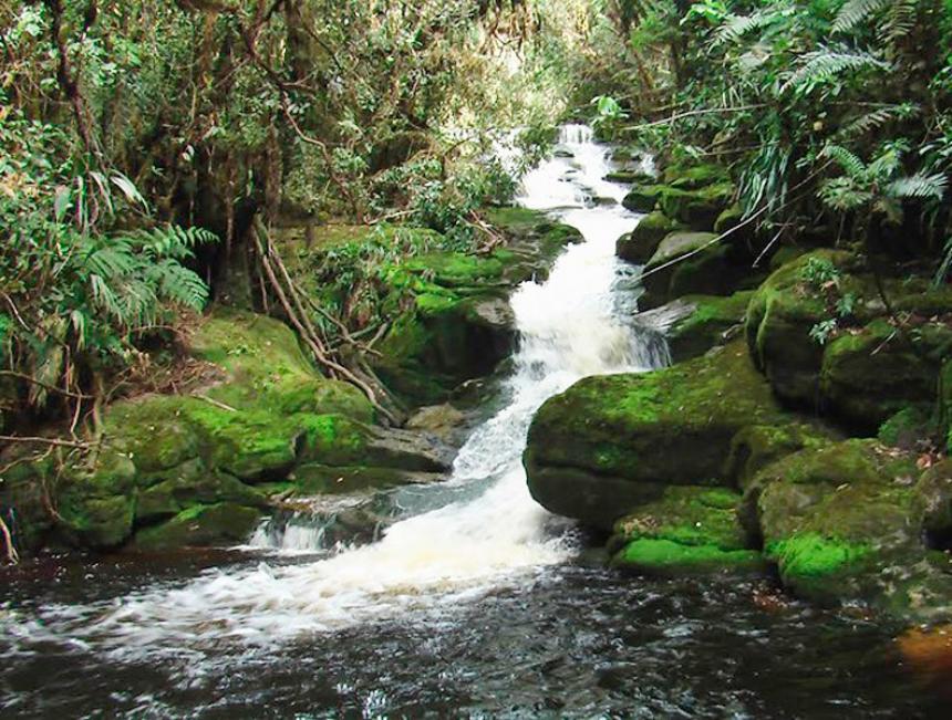 COLOMBIA CUENTA CON 17 PLANES DE ORDENACI�N Y MANEJO DE CUENCAS HIDROGR�FICAS