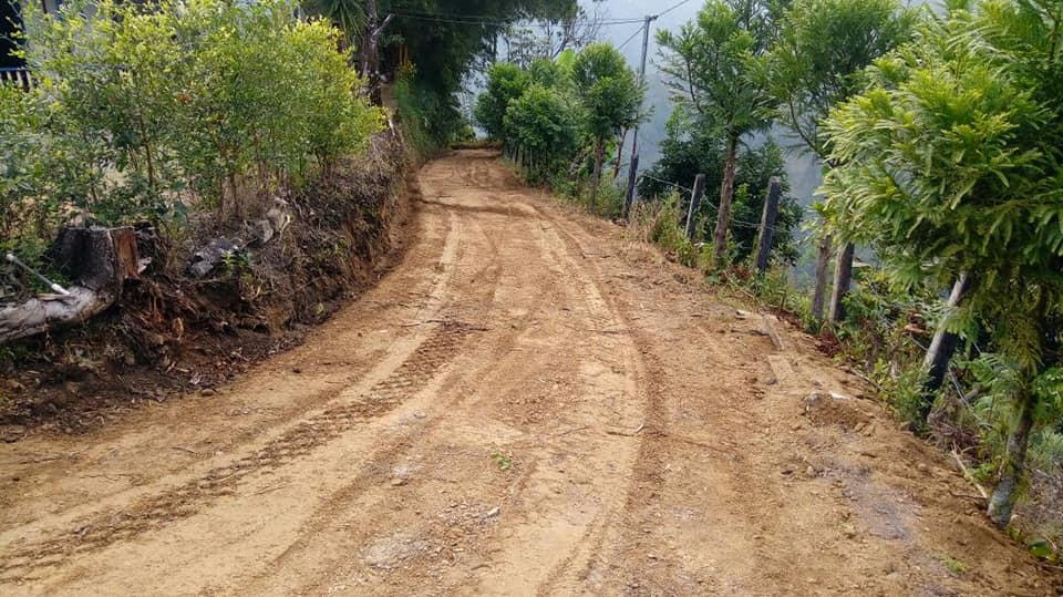 ARREGLO TRAMO VIAL DE LA VEREDA LIMONES