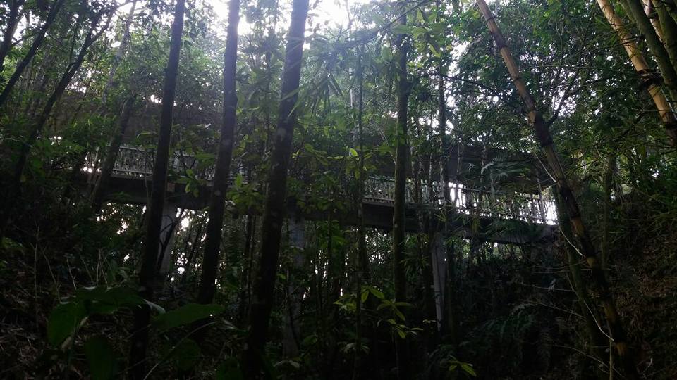 CREACI�N DE CLUB DE AVISTAMIENTO DE AVES AFICIONADOS